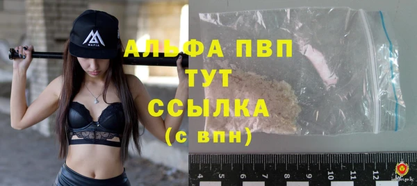 винт Алексин