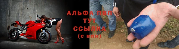 винт Алексин