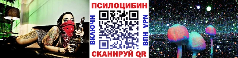 Псилоцибиновые грибы прущие грибы  Енисейск 