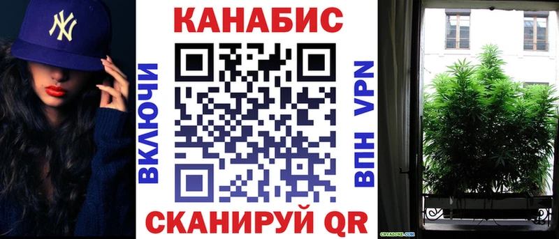 Бошки Шишки Amnesia  Енисейск 